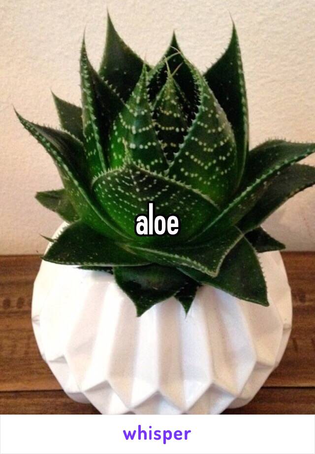 aloe