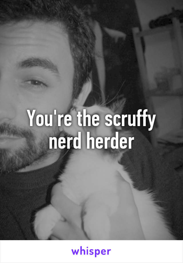 You're the scruffy nerd herder