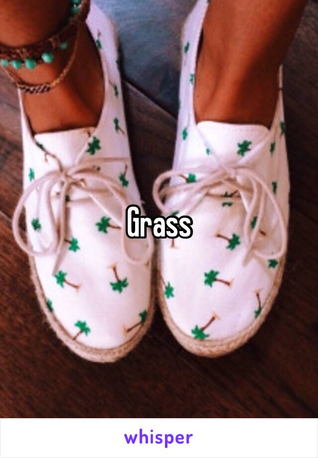 Grass 