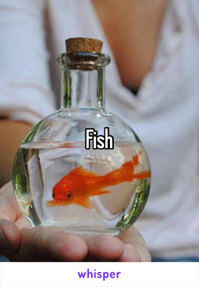 Fish