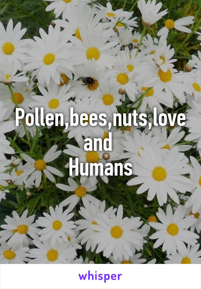 Pollen,bees,nuts,love and 
Humans