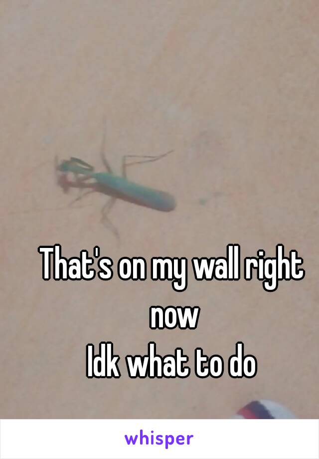 That's on my wall right now
Idk what to do