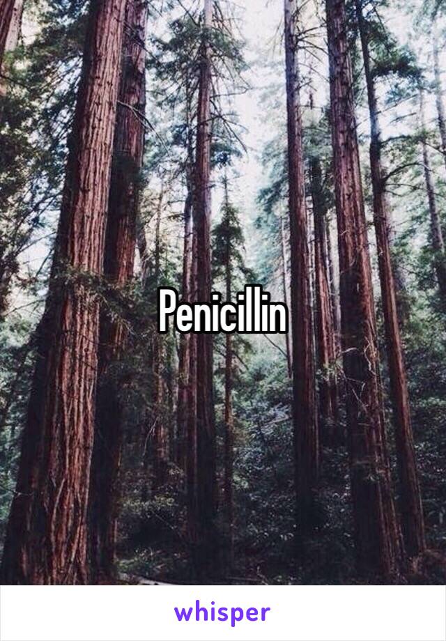 Penicillin 