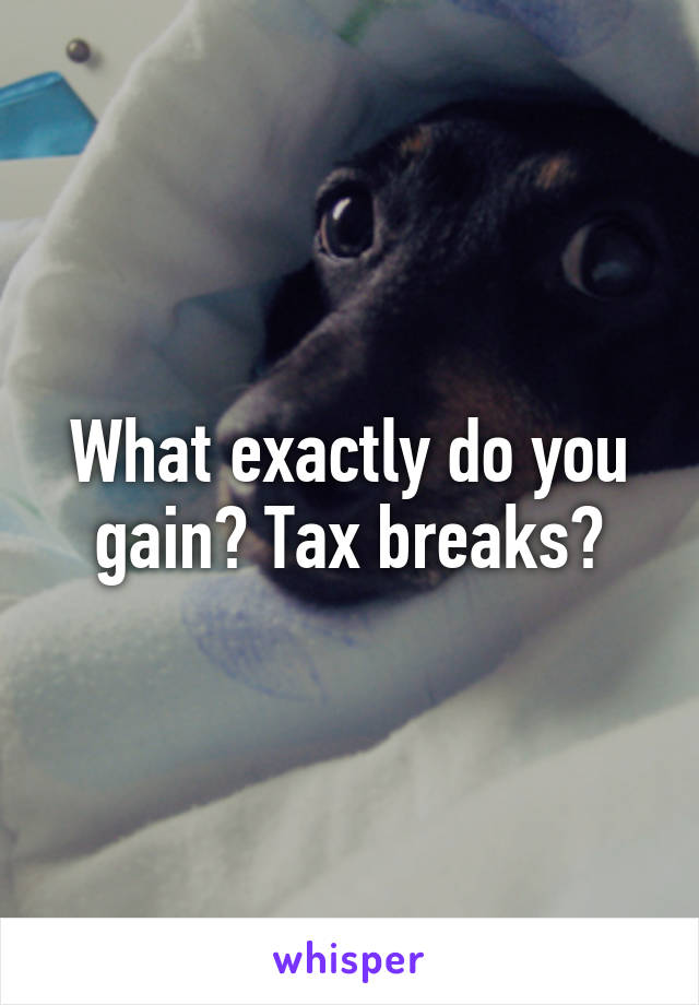 What exactly do you gain? Tax breaks?