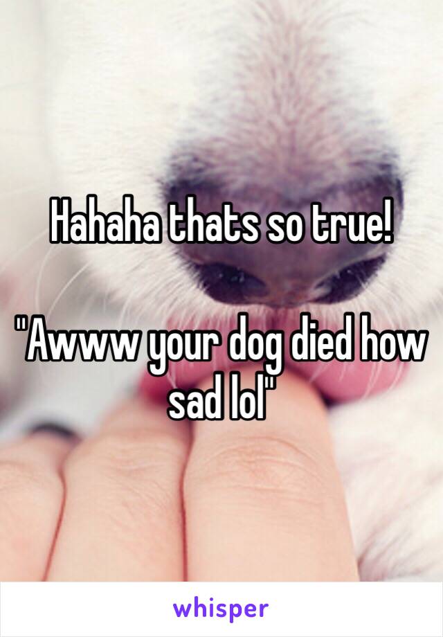Hahaha thats so true! 

"Awww your dog died how sad lol"