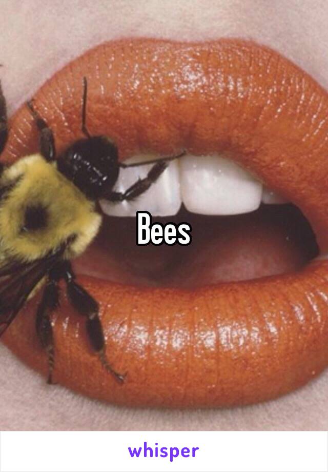 Bees