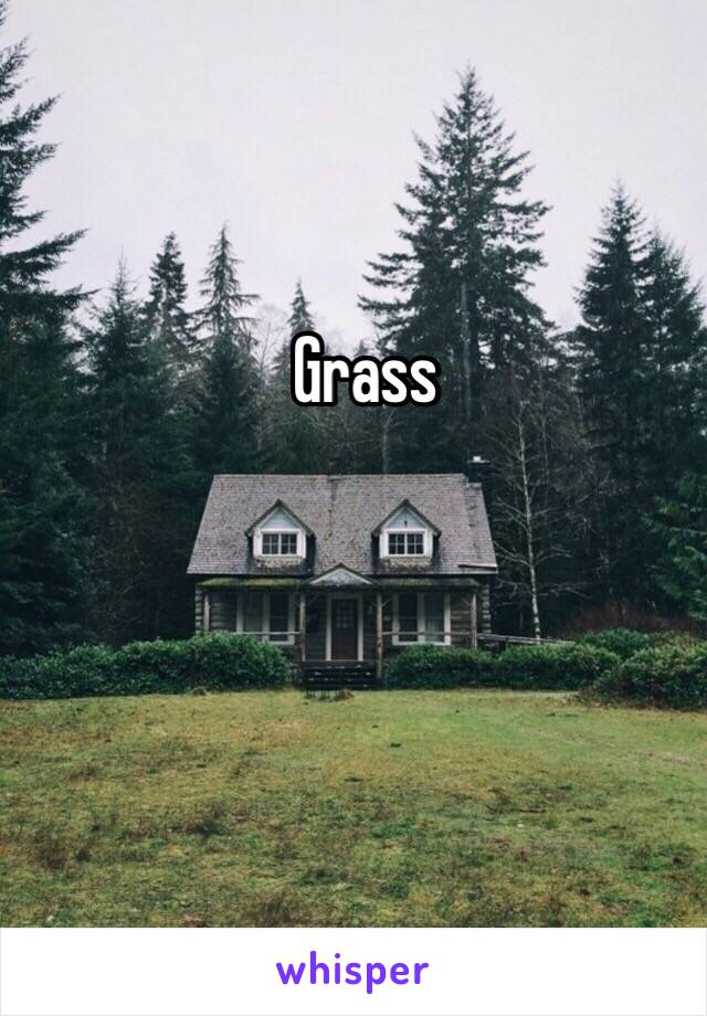 Grass 