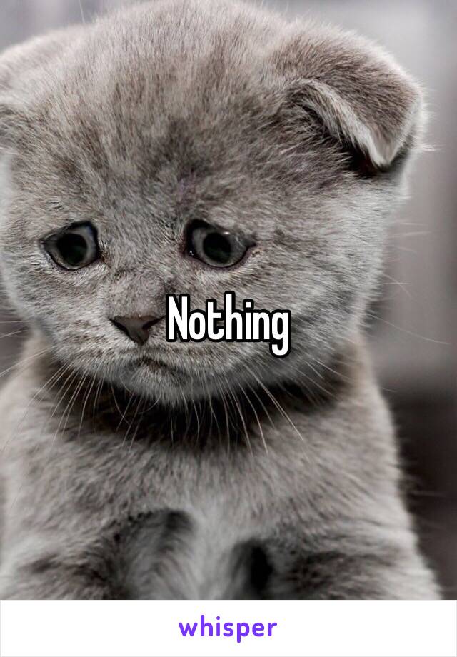 Nothing 