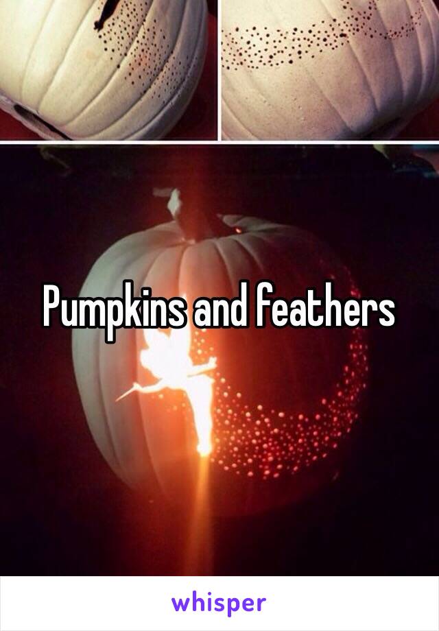 Pumpkins and feathers