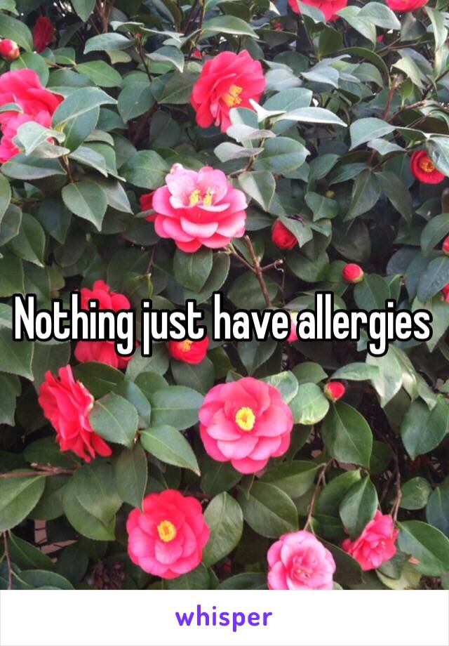 Nothing just have allergies