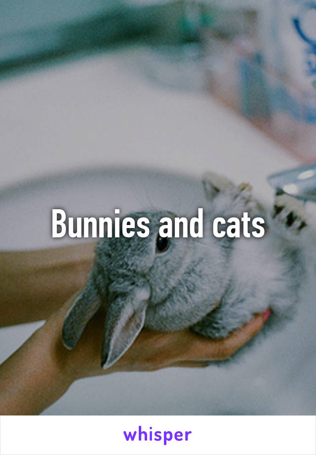 Bunnies and cats