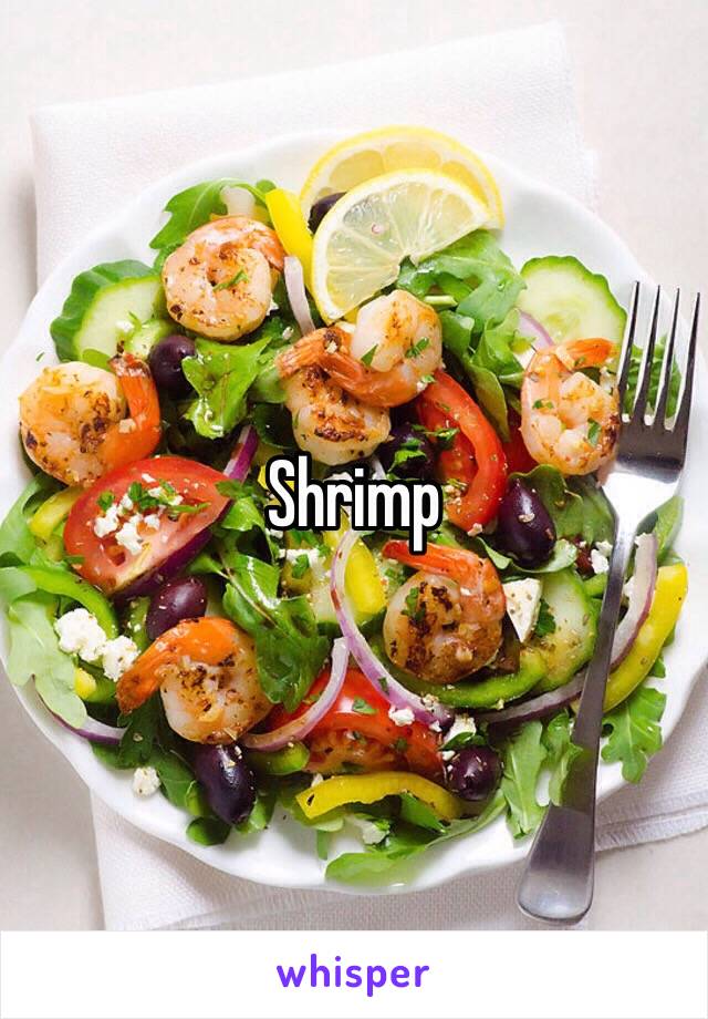 Shrimp 