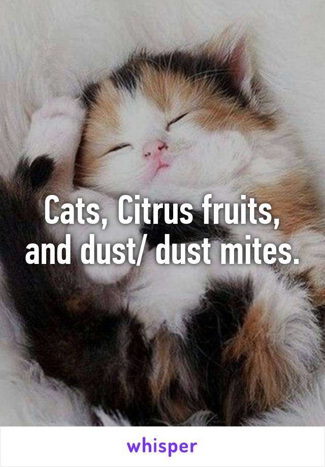 Cats, Citrus fruits, and dust/ dust mites.