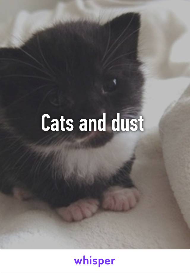 Cats and dust 
