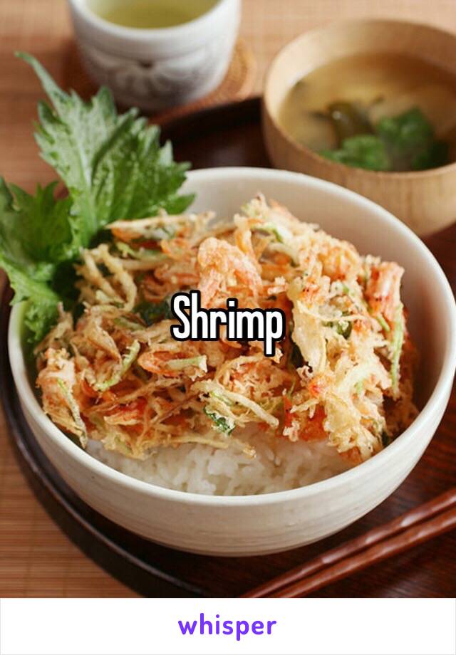 Shrimp