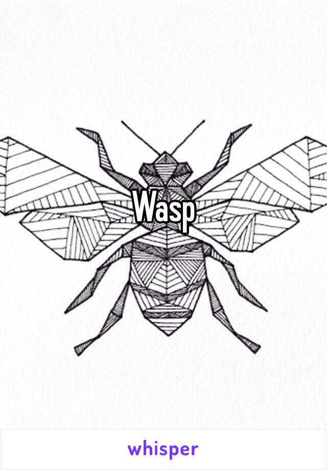 Wasp
