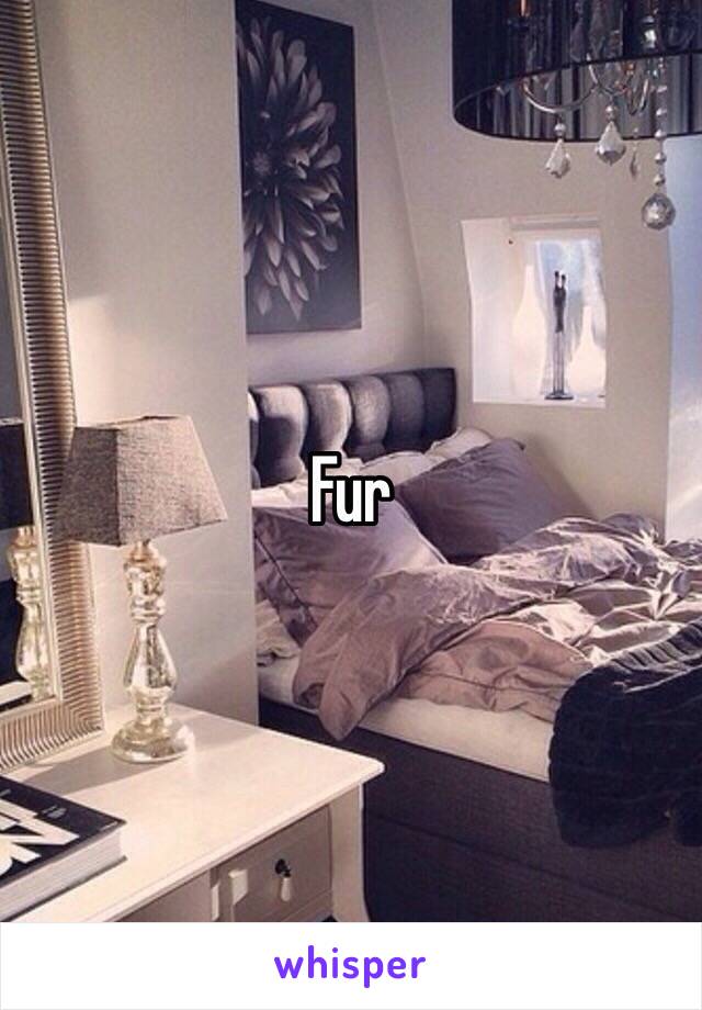 Fur