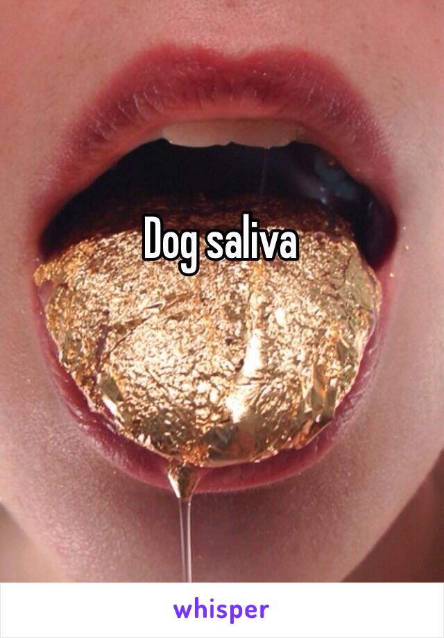 Dog saliva