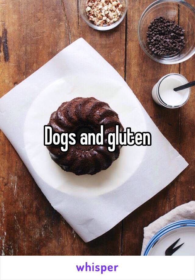 Dogs and gluten