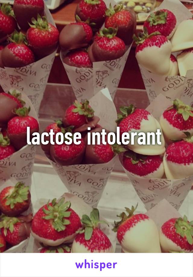 lactose intolerant 