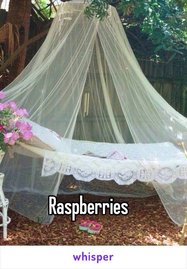 Raspberries 