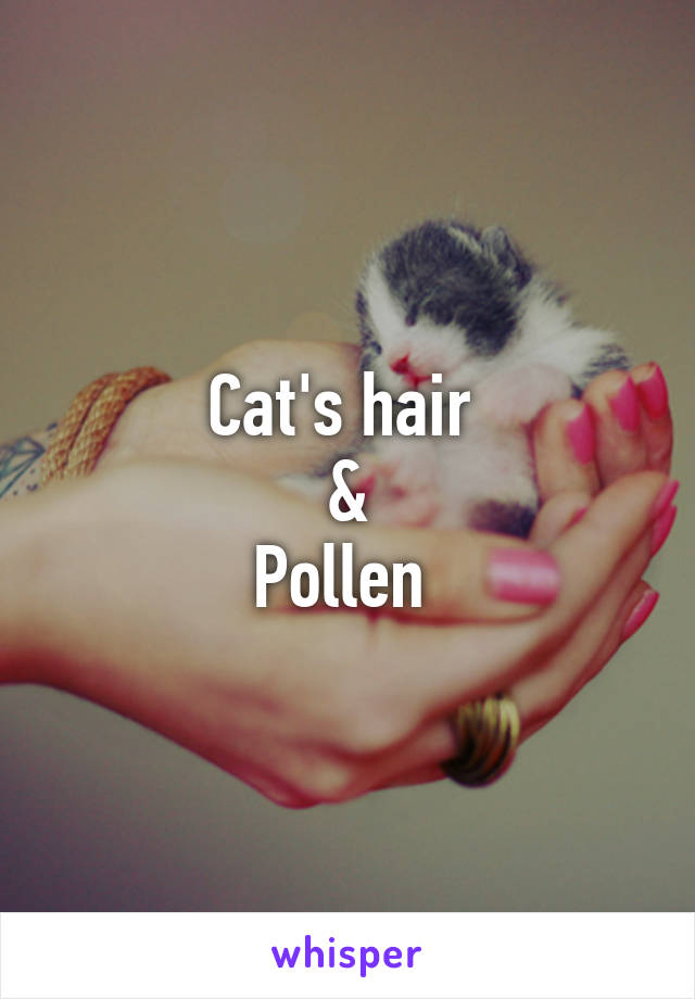 Cat's hair 
&
Pollen 