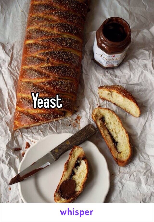 Yeast