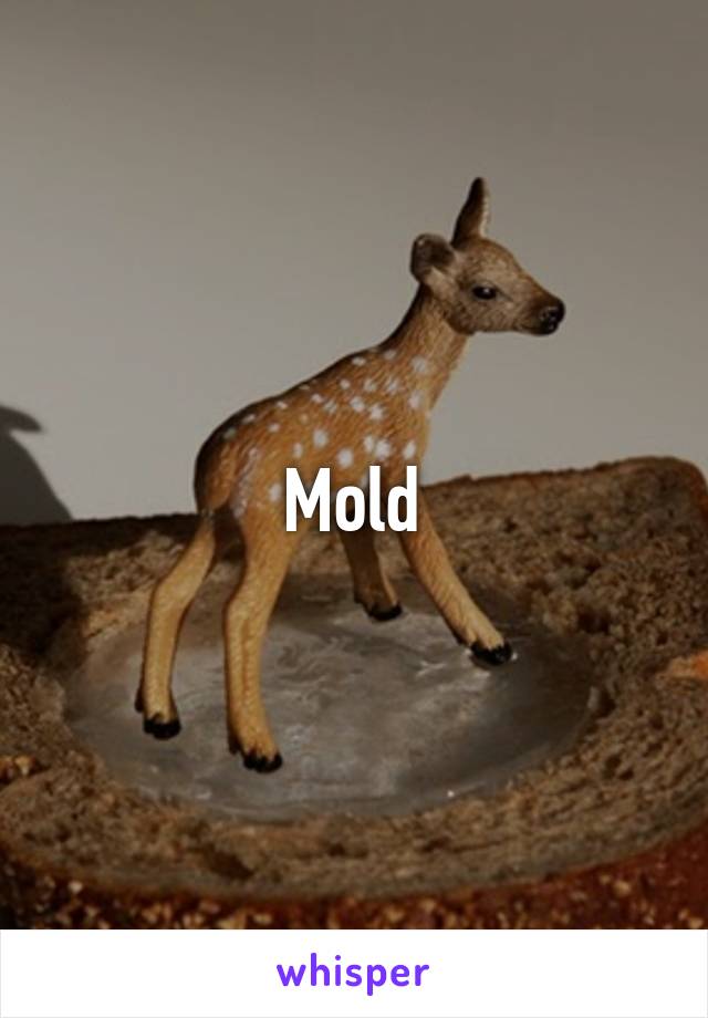 Mold