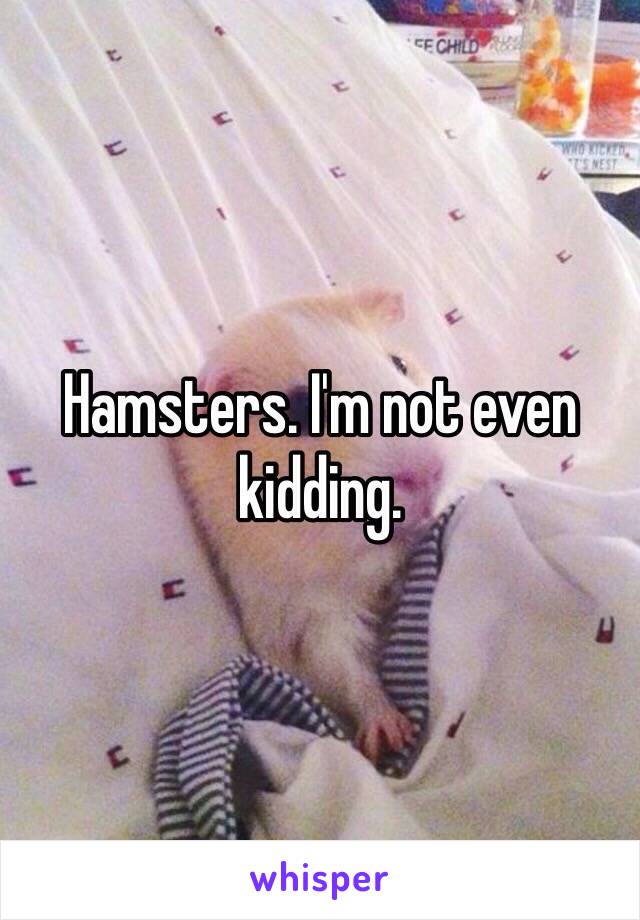 Hamsters. I'm not even kidding.