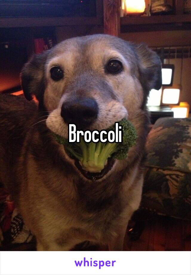 Broccoli 