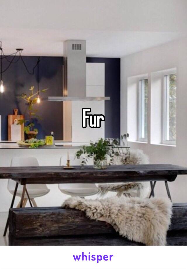 Fur
