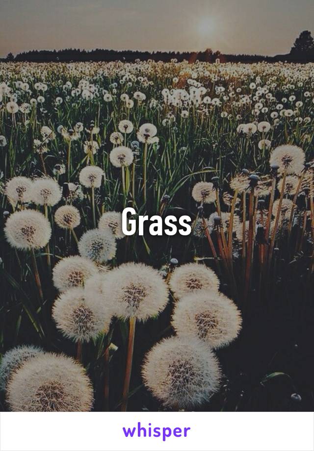 Grass