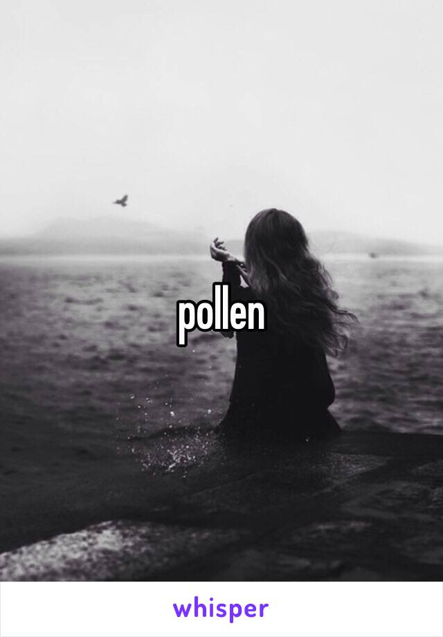 pollen 