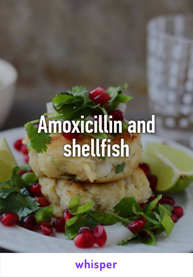 Amoxicillin and shellfish