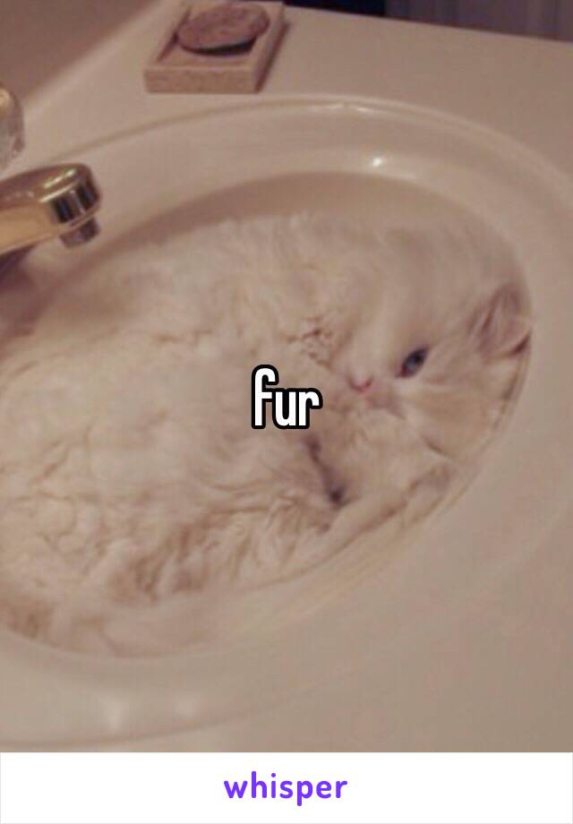 fur