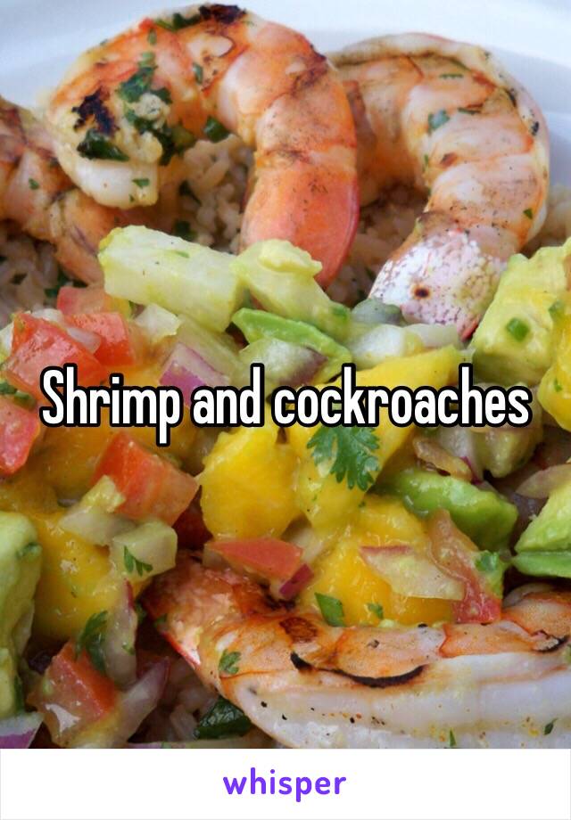 Shrimp and cockroaches 