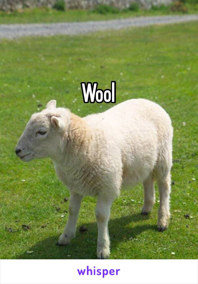 Wool