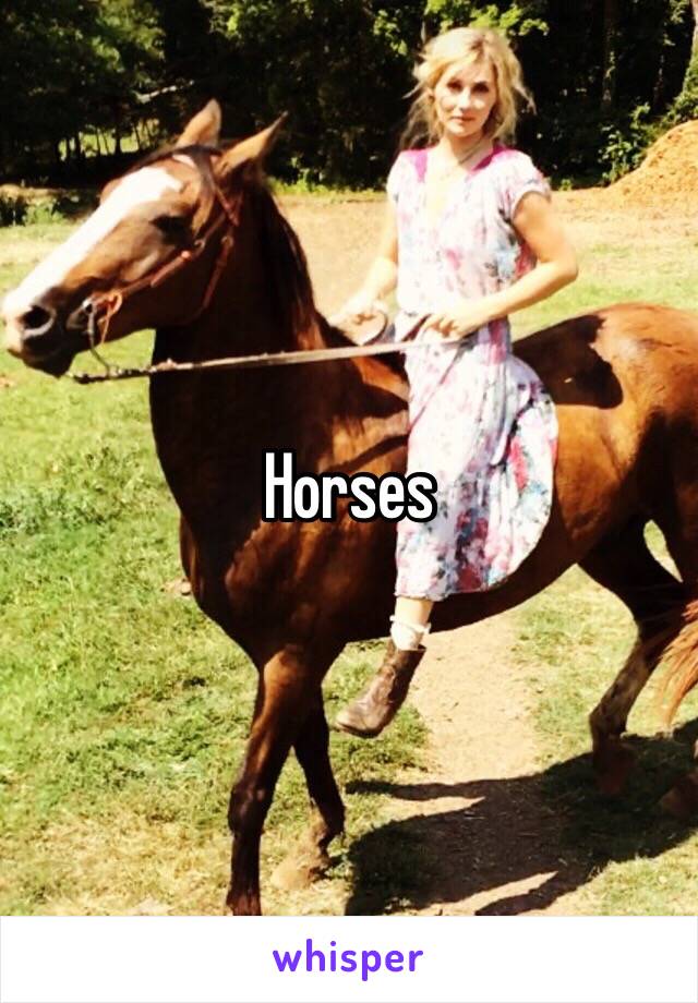 Horses