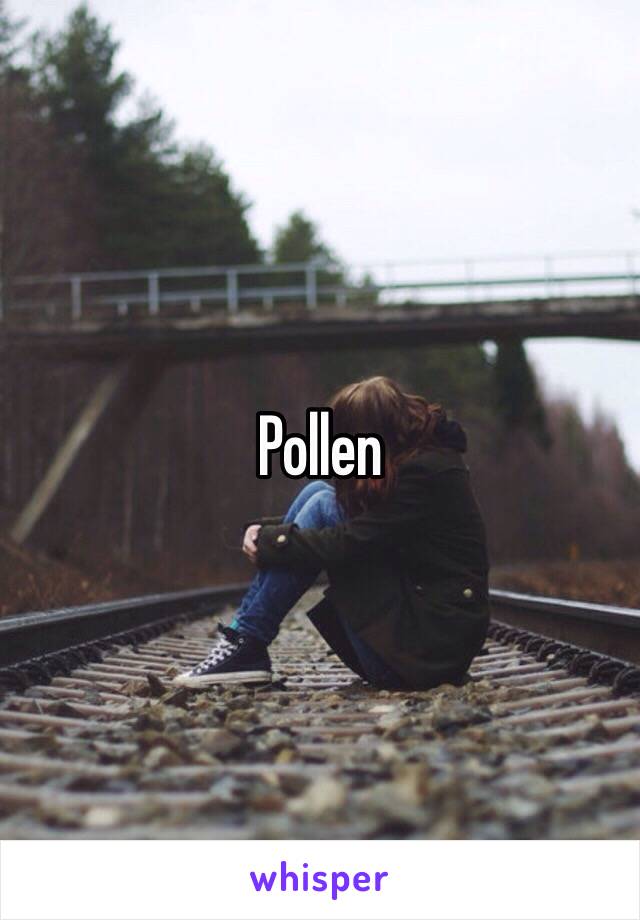 Pollen 