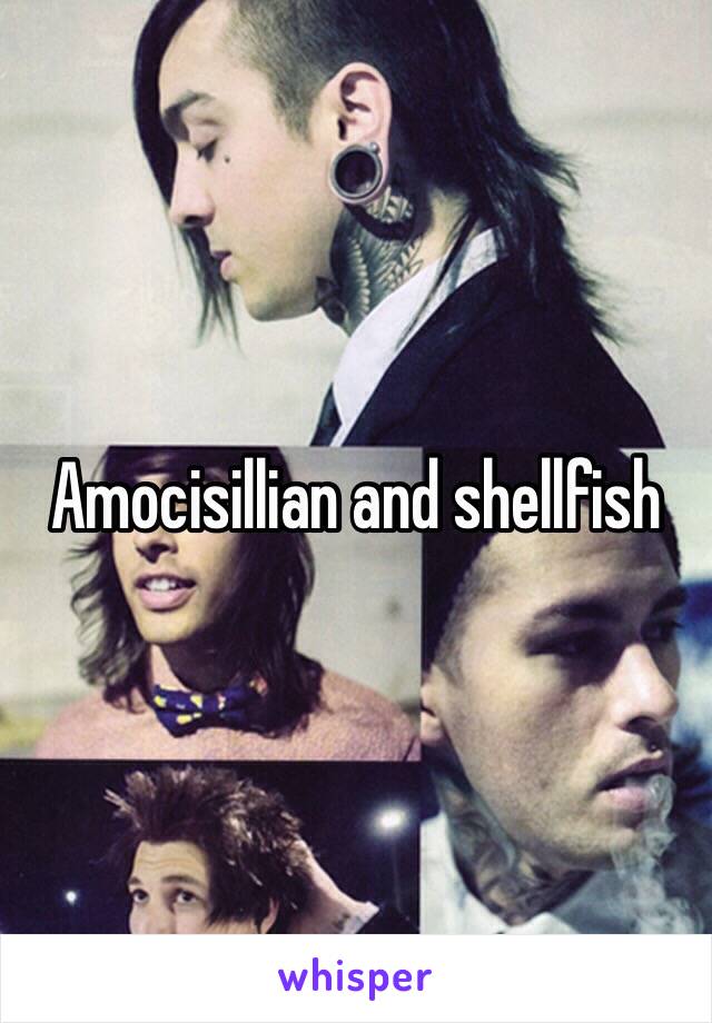 Amocisillian and shellfish