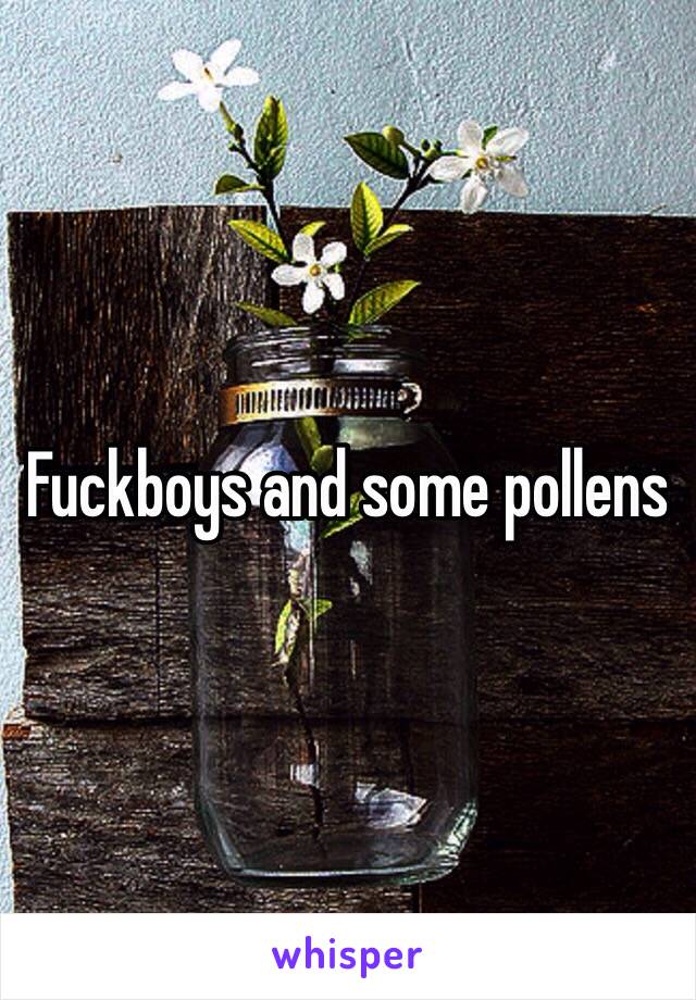 Fuckboys and some pollens 