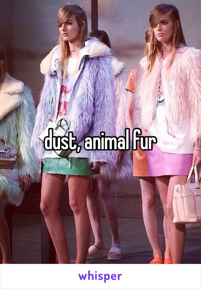 dust, animal fur 