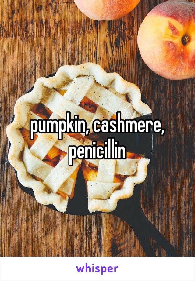 pumpkin, cashmere, penicillin 