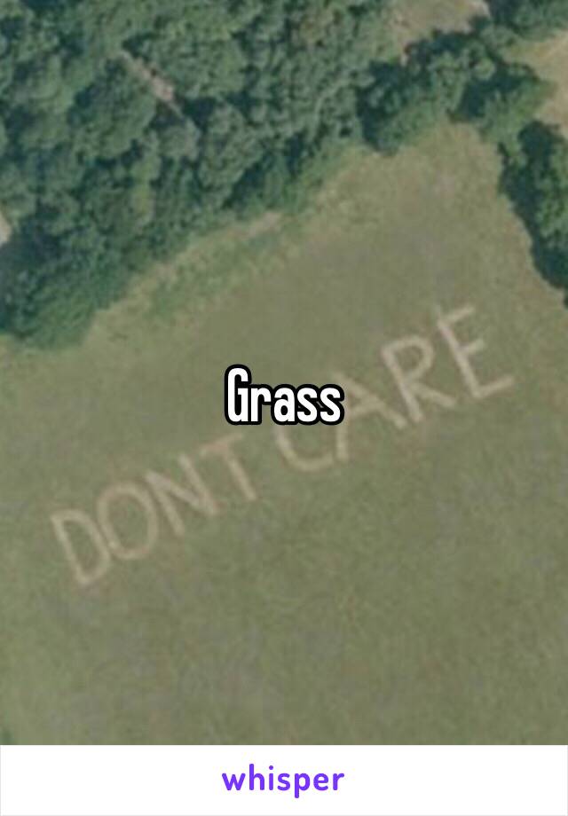 Grass