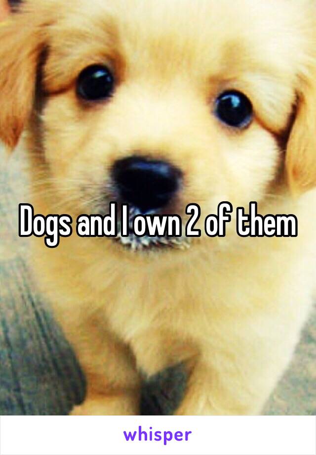 Dogs and I own 2 of them