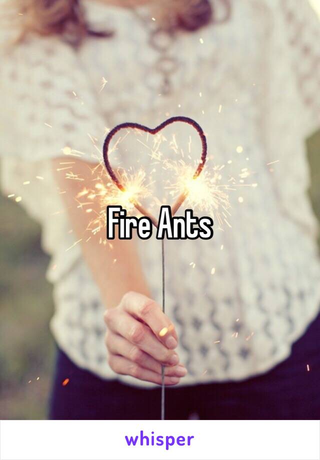 Fire Ants