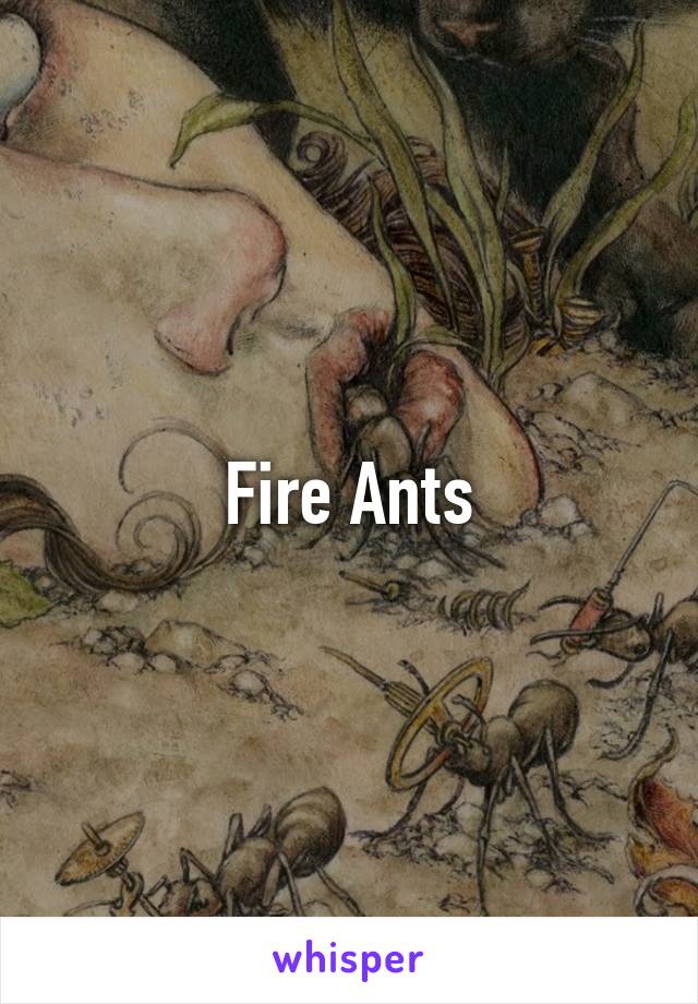 Fire Ants