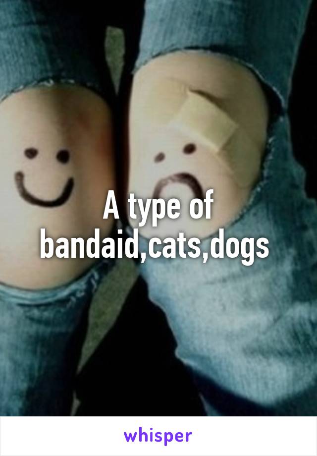 A type of bandaid,cats,dogs 