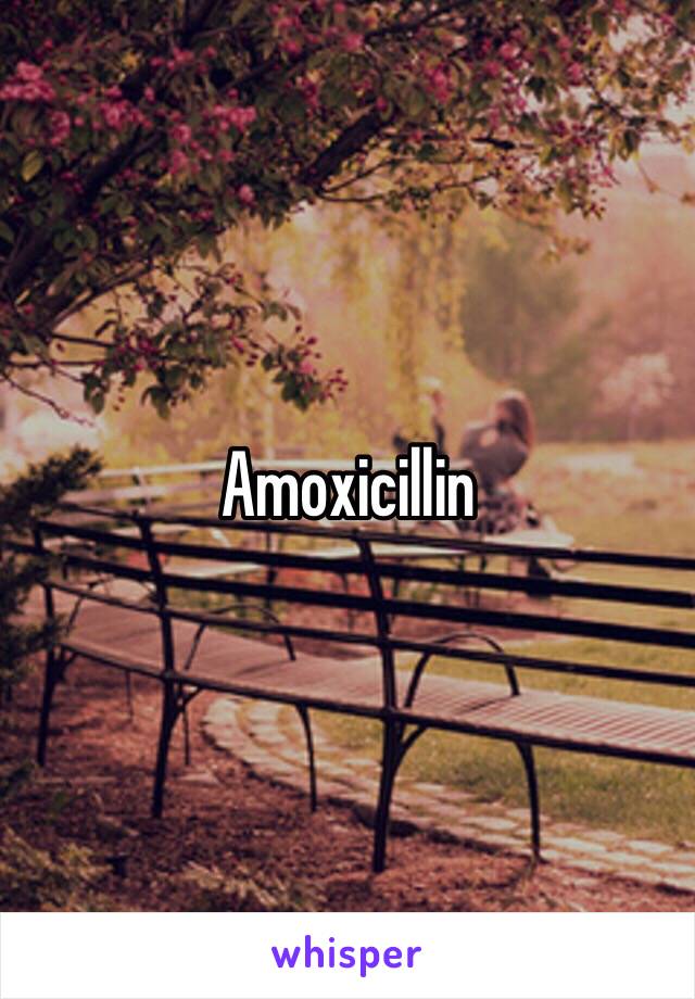 Amoxicillin 