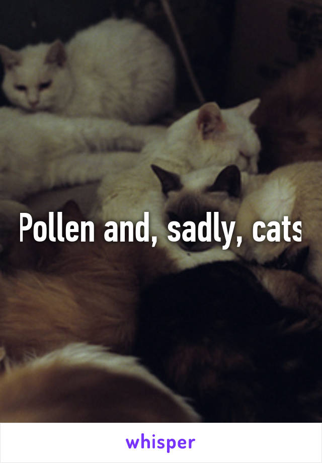 Pollen and, sadly, cats